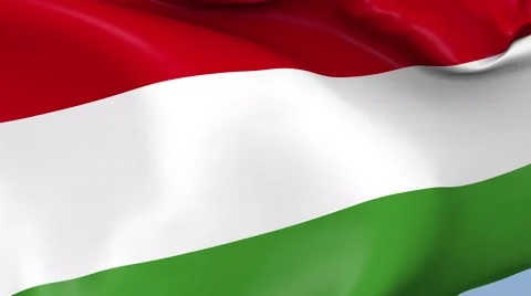 Hungary Waving Flag Background Loop Stock Footage 64142542