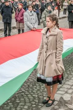 Hungary's Day Stock Photos