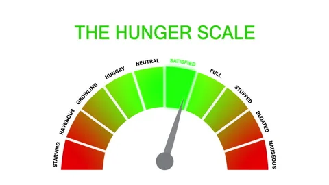 Hunger-fullness scale for intuitive and mindful eating and diet control Stock Footage 240587988