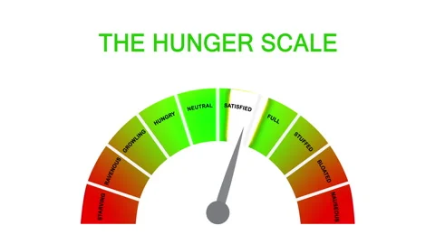 Hunger-fullness scale for intuitive and mindful eating and diet control Stock Footage 240768497