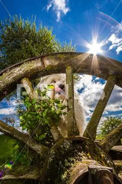 Hunger Stock Photos