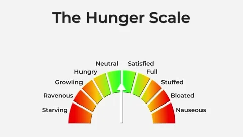 Hunger scale animation with white background for clean Stock Footage 313215894