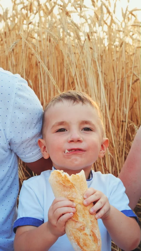 Hungry boy biting bread in wheat field Stock Footage 346301924