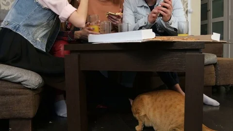 Hungry cat is under the table, while people are eating Vídeo Stock 73482601
