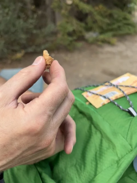 Hungry Chipmunk Steals Boyfriends Snack on Hike, Banff National Park, Alberta, C Stock Footage 316716244
