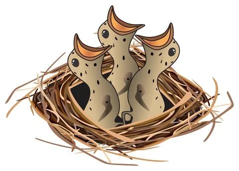 Hungry chirping bird chicks at nest vector drawing on isolated background vector Stock-Illustration