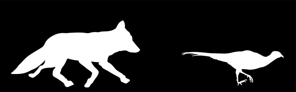 Hungry fox hunting pheasant vector silhouette illustration Stock Illustration