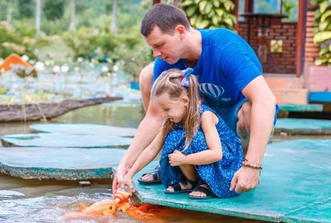 Hungry gold asian fish eats food from bottle in the pond. little beautiful gi Foto stock