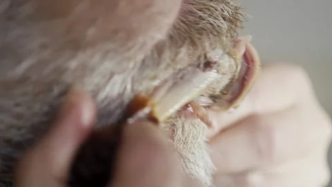Hungry man eats juicy grilled chicken in extreme close-up shot Stock Footage 312146626
