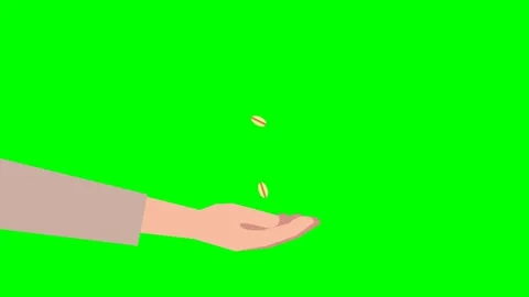 Hungry man extended his hand, several grains fell into his hand from above Stock Footage 277160216