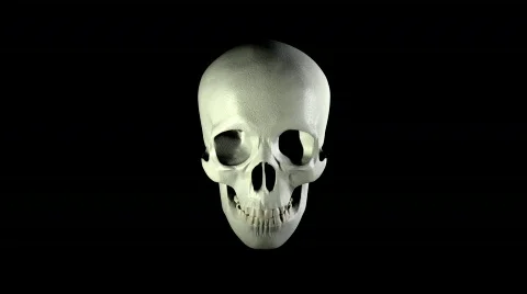  Hungry Skull Stock-Footage 117597