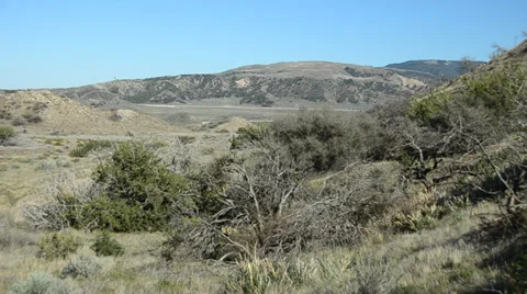 Hungry Valley  Stock Footage 32222928
