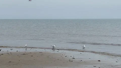Hunstanton Beach Video stock 137590538