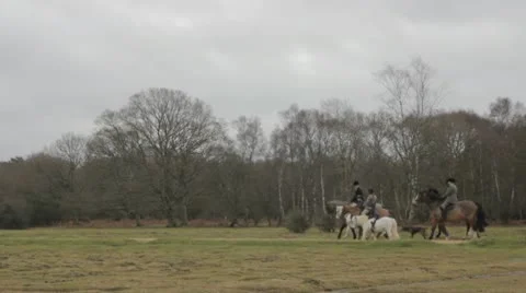 Hunt followers Video stock 10587792