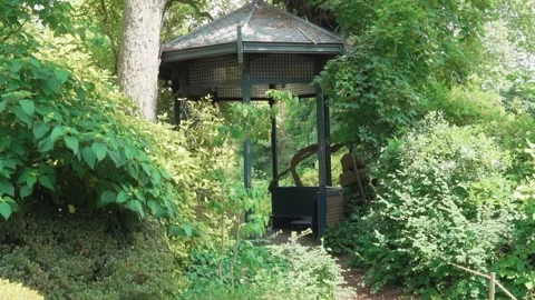 Hunt in forest Stock Footage 245413423