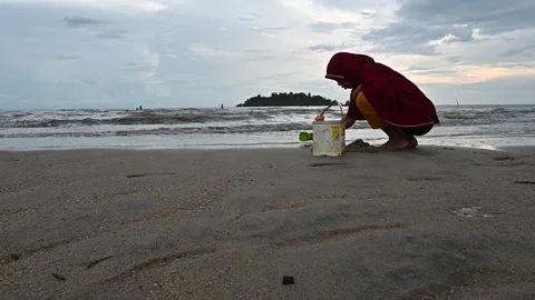 Hunt sand shells Video stock 224043128