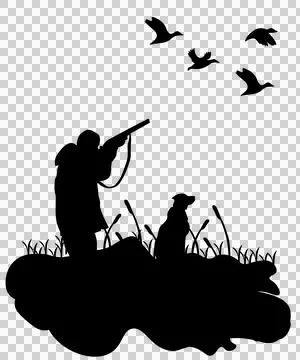 Hunter Aiming Shotgun At Flying Ducks dog grass silhouette Ilustración de archivo