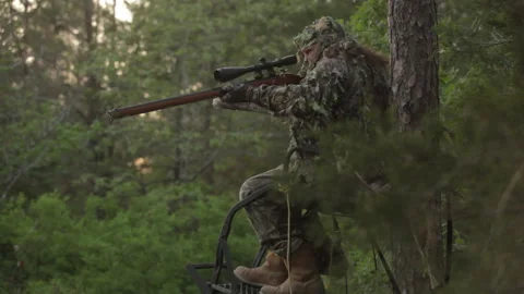 Hunter aims and shoots from tree stand in forest during early morning light Stock Footage 327982885