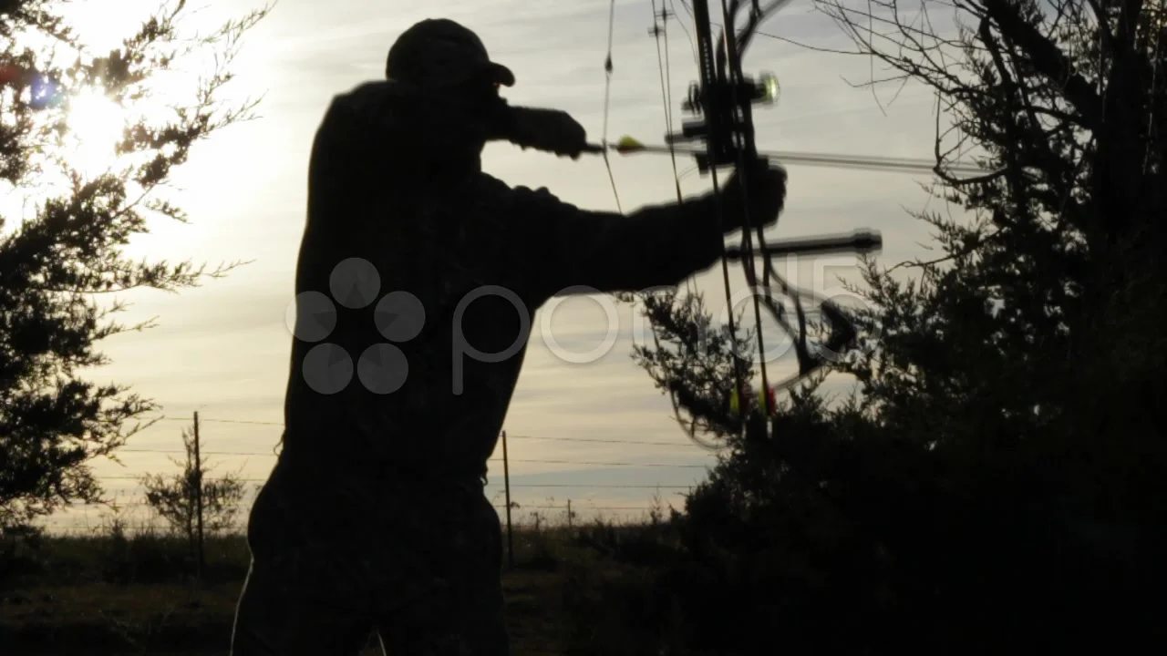 compound bow hunting silhouette