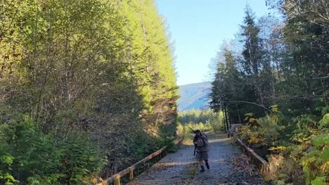 Hunter beginning trek up logging road Stock Footage 172564532