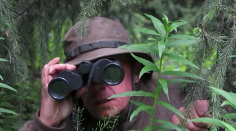 Hunter with binoculars hiding under spruce Stock Footage 68894072