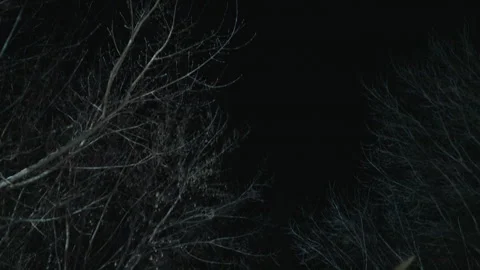 Hunter with bow prepares to shoot at target in dark snowy forest showing Video stock 347082890