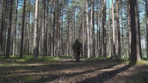 A hunter in camouflage is walking through the forest Stockbeeldmateriaal 155071071