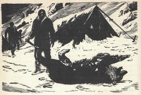 A hunter caught a grizzly bear. Old black and white illustration. Vintage d.. Illustrazione stock
