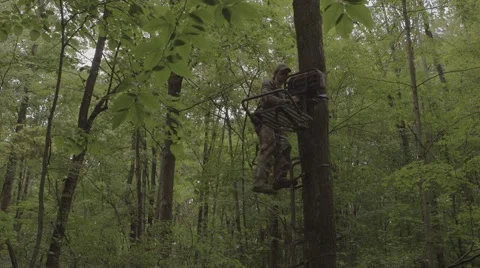 Hunter climbing and sitting in tree stand Stock-Footage 53643240