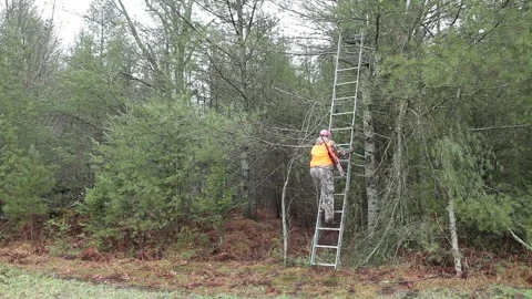 Hunter Climbing Ladder to Tree Stand with Gun Stock Footage 172264907