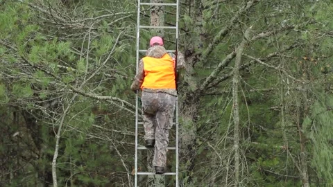 Hunter Climbing Tree to Tree Stand with Gun 動画素材 172263677