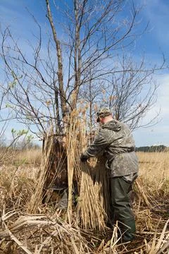 The hunter constructs a duck blind from bundles of reeds Stock Photos