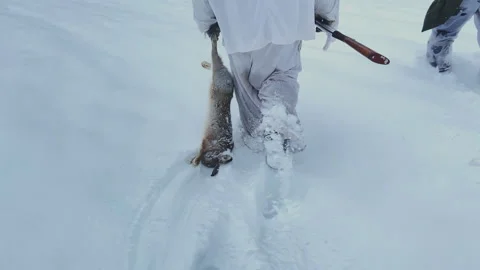 Hunter during hunting in forest. Hunter while hunting wild animals. Stock Footage 226949748