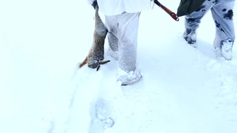 Hunter during hunting in forest. Hunter while hunting wild animals. Stock Footage 226950037