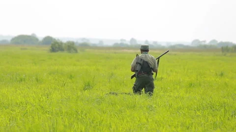 The hunter in the field with setter shooting at a flying bird, snipe Stockbeeldmateriaal 66064575