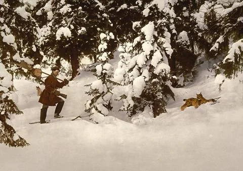Hunter finds a lynx caught in a beating trap Russia c 1890 Historic digitally Stock Illustration