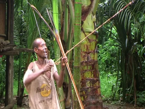 Hunter Stock Footage 3561268