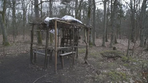 Hunter gazebo made of tree in the wood. Canopy made of branches and plastic. Video stock 234620494