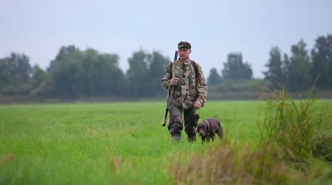 Hunter with German Shorthaired Pointer on the hunting Stock Footage 34267600