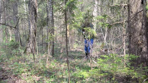Hunter in a green forest Stock-Footage 89492771