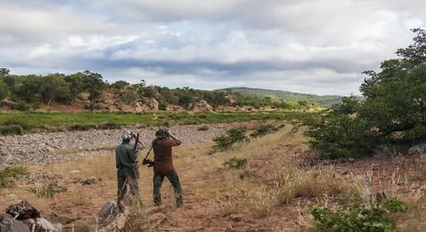 Hunter,  guide and tracker in the savannah are looking at animals in search.. Stock Photos