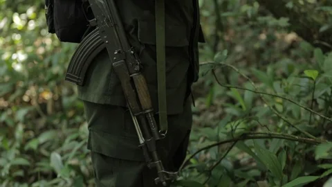 Hunter with a gun in the forest, Congo, Central Africa Stock Footage 103806172