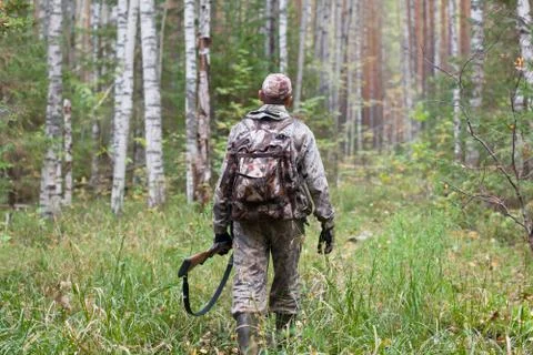 Hunter with gun in the forest Stock Photos