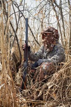 The hunter hid in the bushes Stock Photos