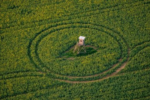 Hunter hide Stock Photos