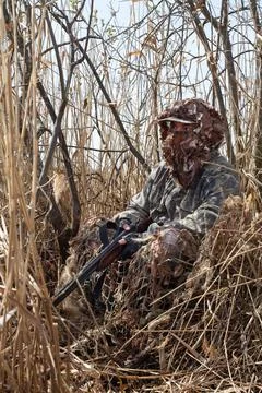 The hunter hides in a thicket of bushes Stock Photos