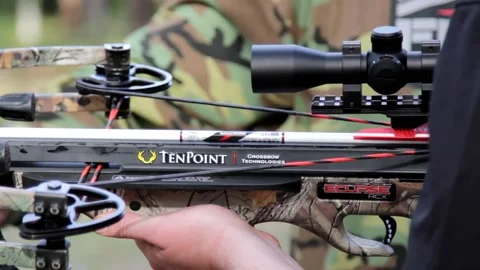 Hunter holding a crossbow getting ready to shoot Stock Footage 171996585