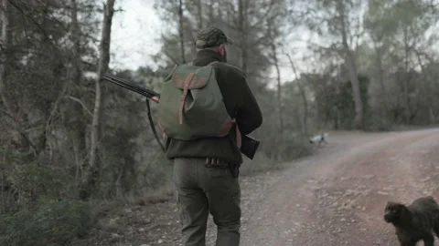 Hunter holding a gun while walking in nature with his dogs. Video stock 237107681