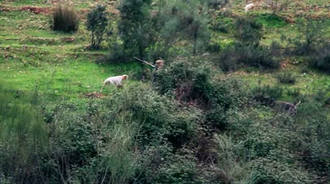 Hunter hunting 7 Stock Footage