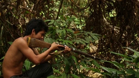 Hunter in Jambi Stock Footage 84254402